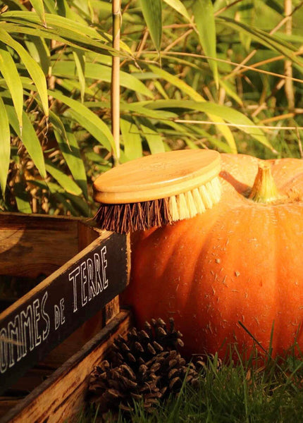 Brosse à légumes